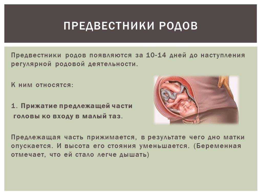 Третья беременность: особенности планирования, течения и родов, отличия от первой и второй, факторы риска, отзывы