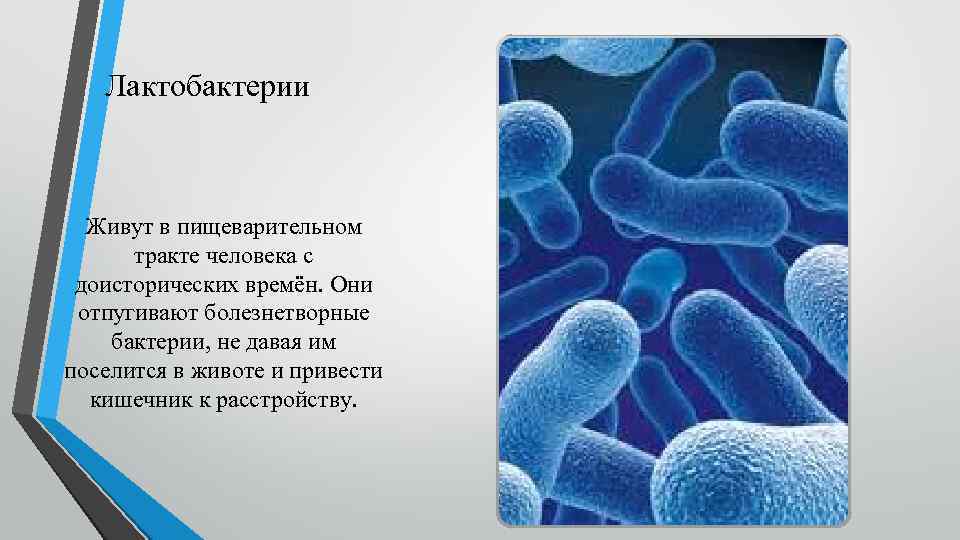Бактериальный вагиноз: почему его путают с вагинитом, и нужно ли лечить инфекцию * клиника диана в санкт-петербурге