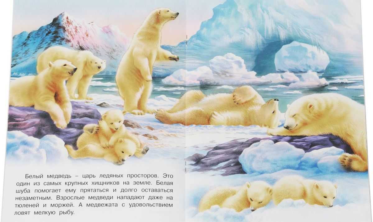 Александр шумилов ★ три загадки арктики читать книгу онлайн бесплатно