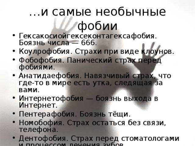 Инсектофобия: причины, проявления, способы борьбы