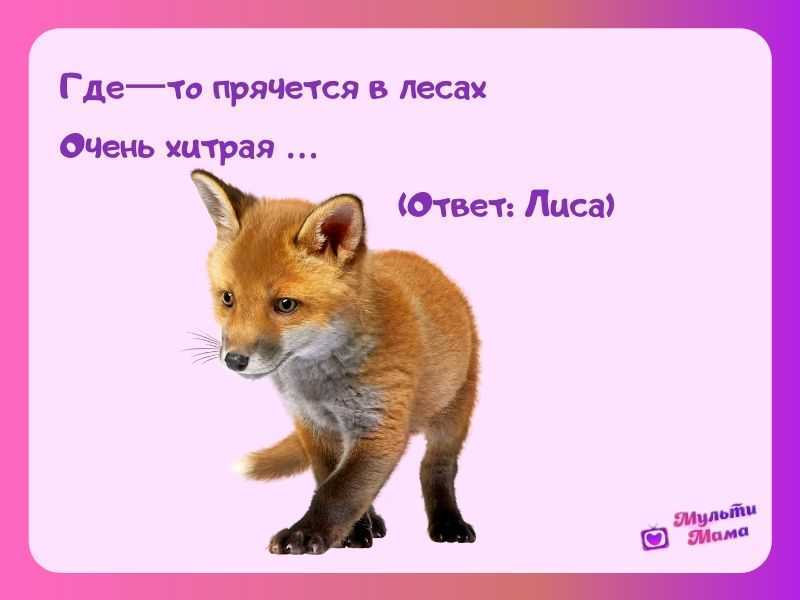Конспект нод «заюшкина избушка»