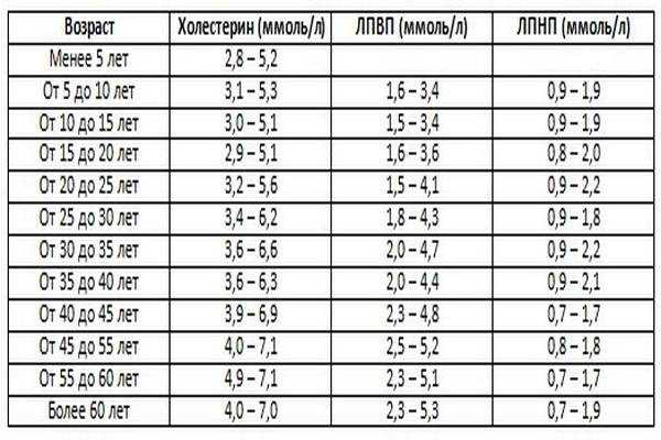 Лпвп – липопротеиды высокой плотности: норма, почему снижены, как повысить