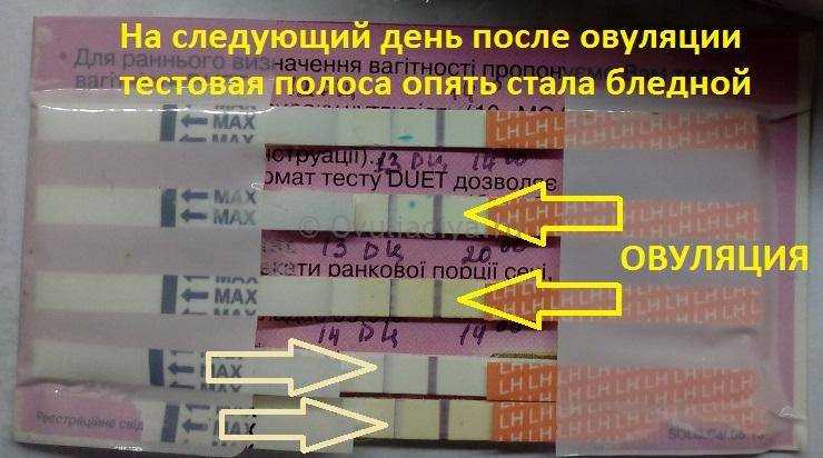 Температура у женщины перед месячными - причины и лечение