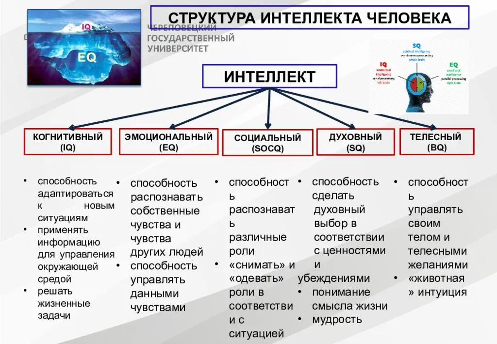 Вербальные и невербальные интеллект, способности и мышление