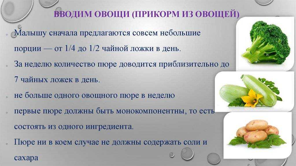 Как готовить кабачок для первого прикорма ребенку: вкусный рецепт