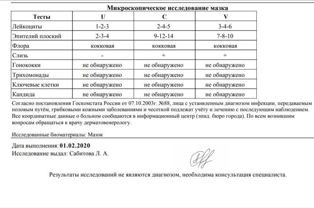 Повышение количества лейкоцитов в мазке при беременности